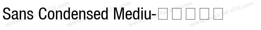 Sans Condensed Mediu字体转换
